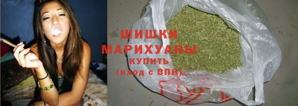 стаф Михайлов
