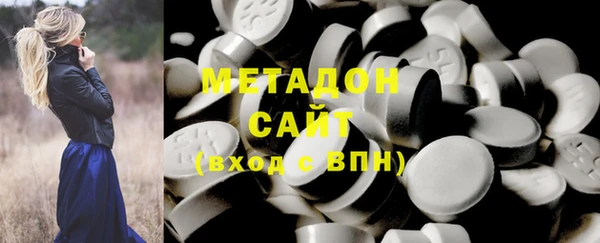 прущие грибы Наволоки