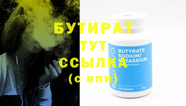 прущие грибы Наволоки