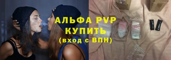 прущие грибы Наволоки
