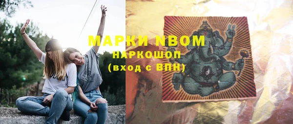 прущие грибы Наволоки
